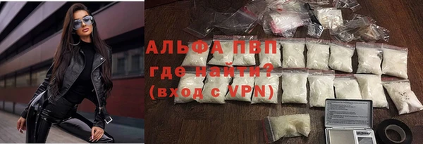 стаф Абаза