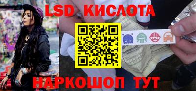 амф Владимир