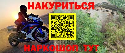 крисы Брянск