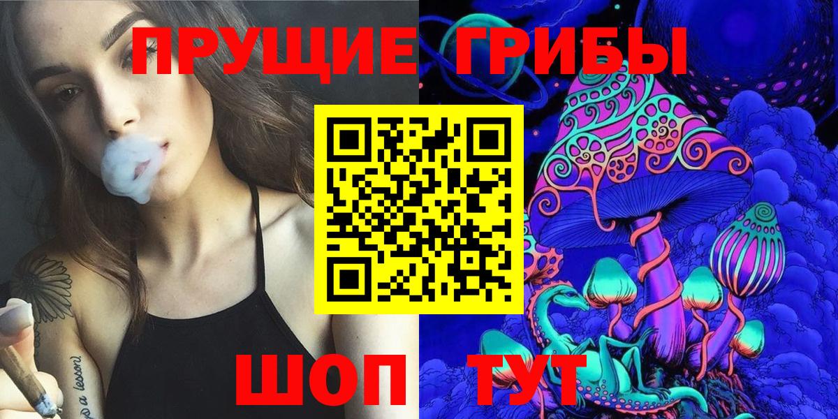 Псилоцибиновые грибы Psilocybine cubensis Батайск