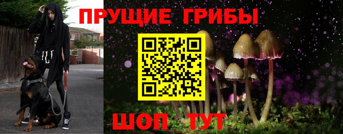 Псилоцибиновые грибы MAGIC MUSHROOMS  Галлюциногенные грибы MAGIC MUSHROOMS  Вход с VPN  Батайск 